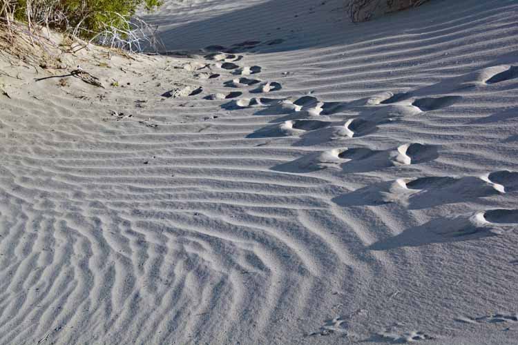 sand dunes